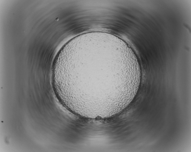 X0000101980955200808081612