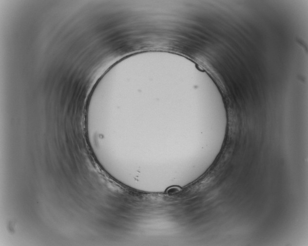 X0000101980956200808081612