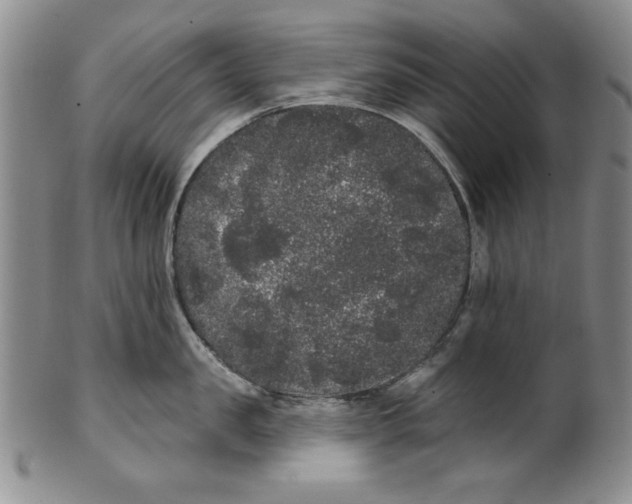 X0000101980957200808081612