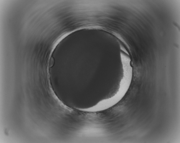 X0000101980959200808081612