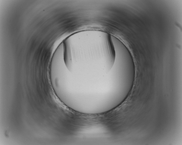 X0000101980960200808081612