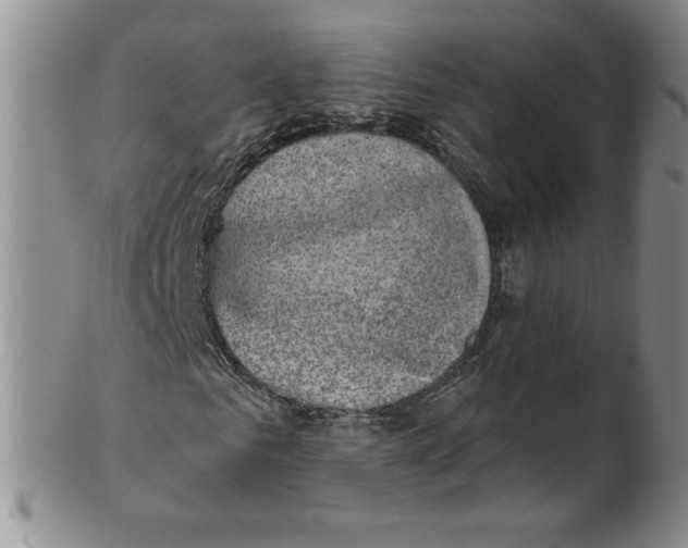 X0000101980961200808081611