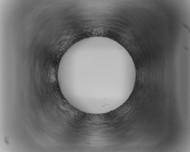 X0000101980962200808081611