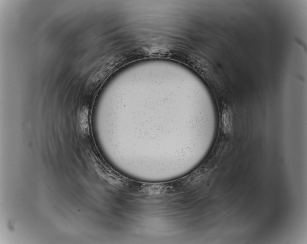 X0000101980963200808081611