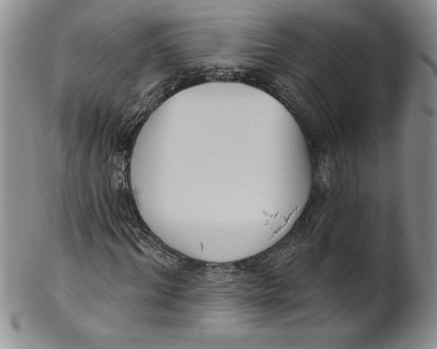 X0000101980964200808081611