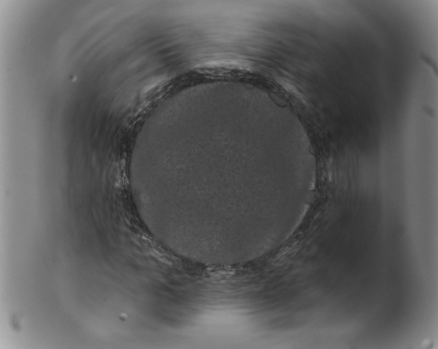 X0000101980965200808081611