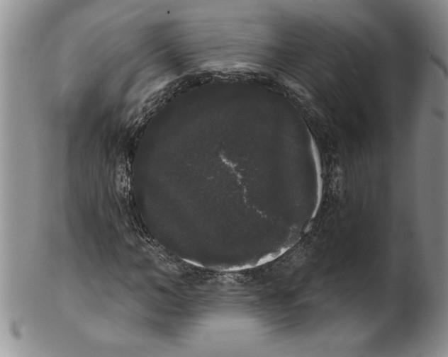 X0000101980966200808081611