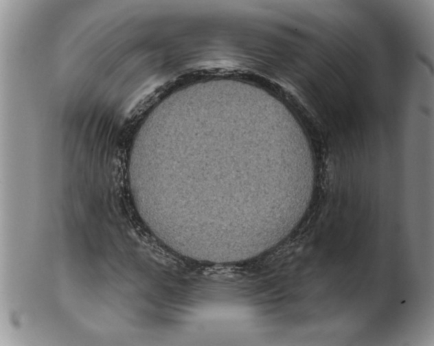 X0000101980967200808081611