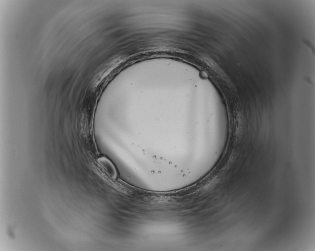 X0000101980969200808081611