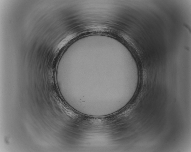 X0000101980970200808081611