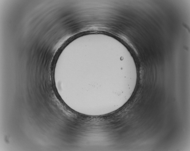 X0000101980972200808081611