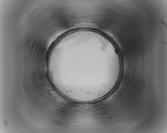 X0000101980973200808081611