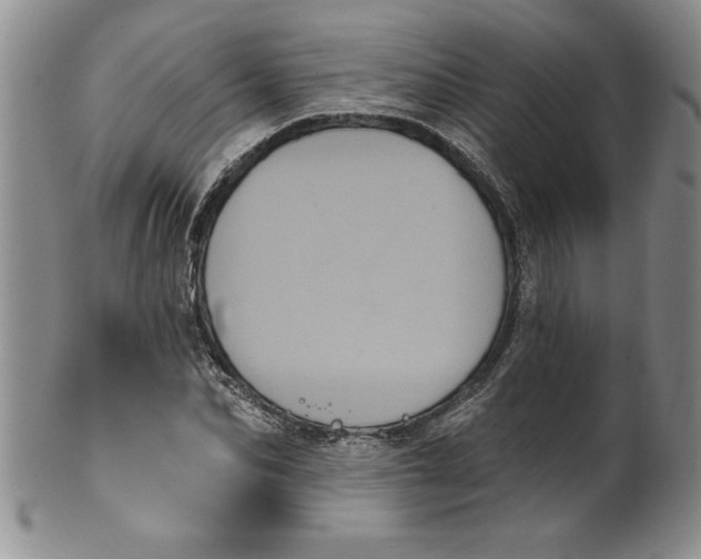 X0000101980974200808081611