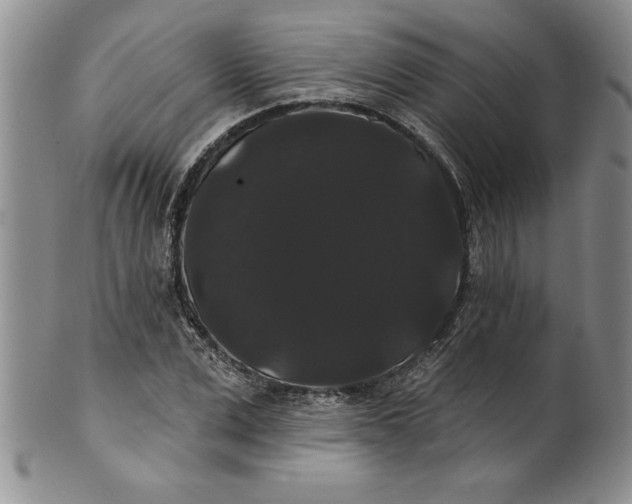 X0000101980975200808081611