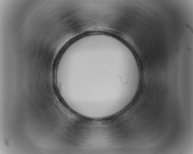 X0000101980976200808081611