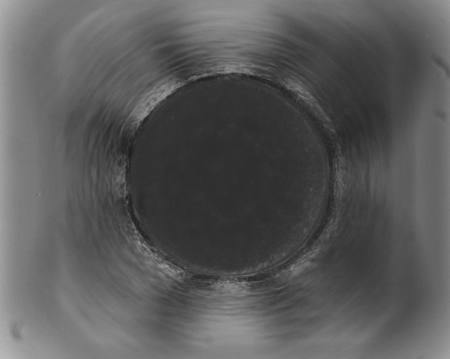 X0000101980977200808081611