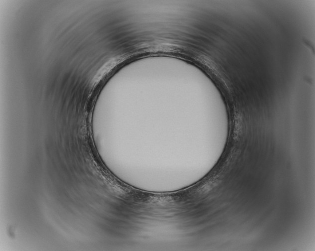 X0000101980978200808081611