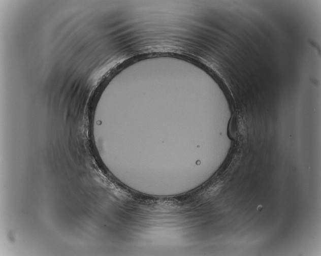 X0000101980979200808081611