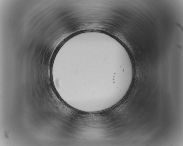 X0000101980980200808081611