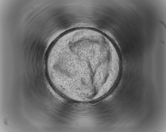 X0000101980981200808081611