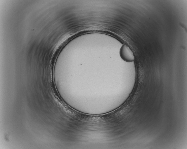 X0000101980982200808081611