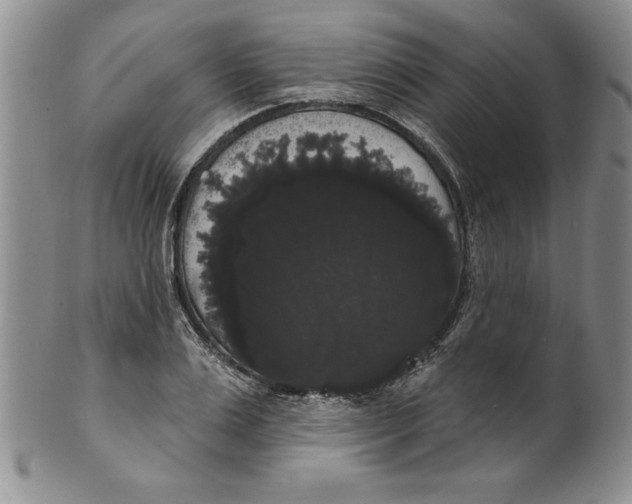 X0000101980983200808081611