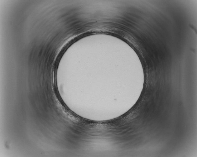 X0000101980984200808081611