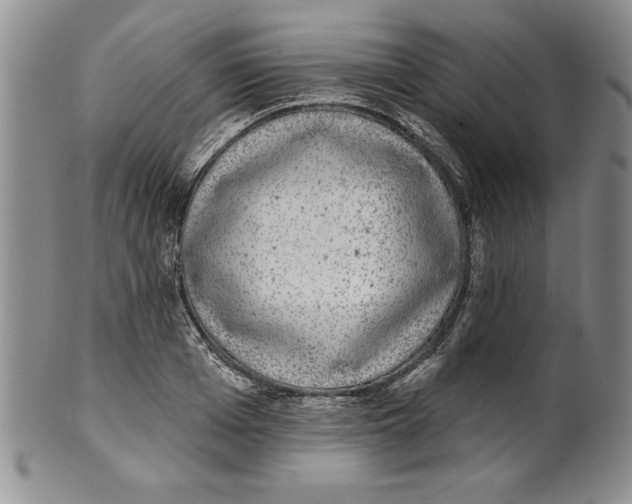 X0000101980985200808081611