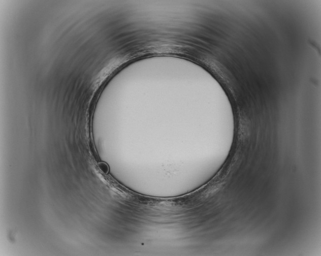 X0000101980986200808081611