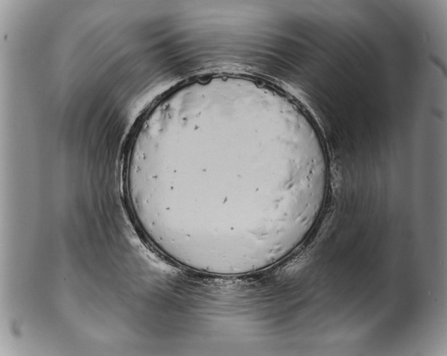 X0000101980987200808081611