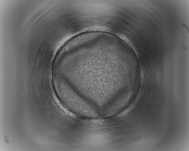 X0000101980989200808081611