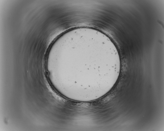 X0000101980991200808081611