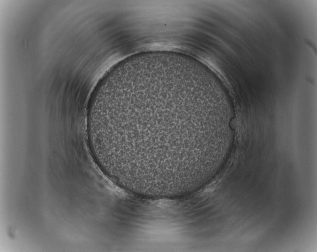 X0000101980992200808081611