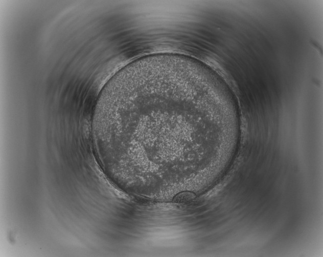 X0000101980993200808081611