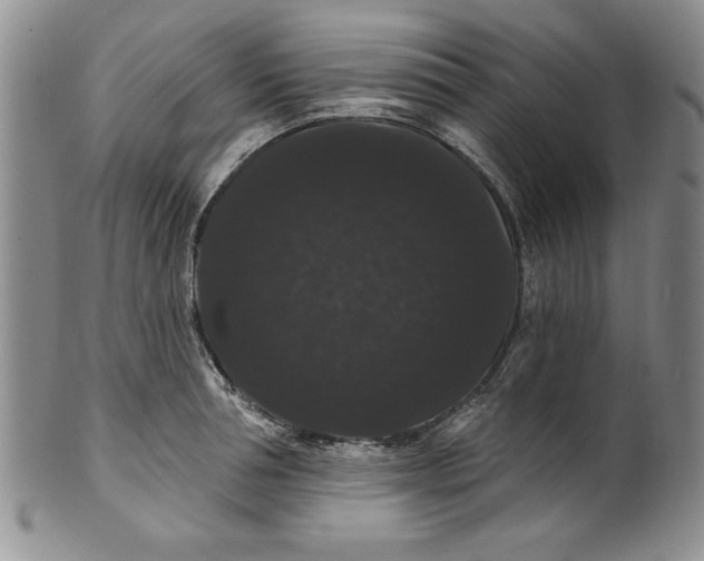 X0000101980994200808081611