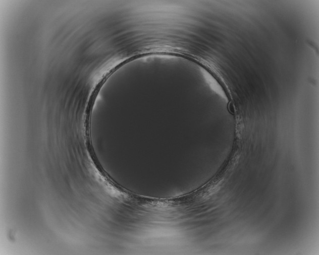 X0000101980995200808081611