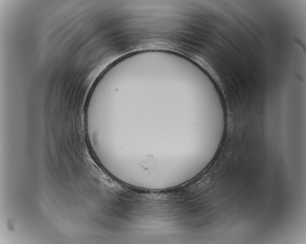 X0000101980996200808081611