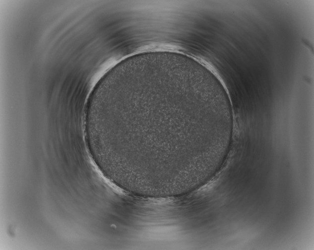 X0000101980997200808081611