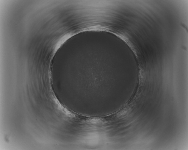 X0000101980998200808081611