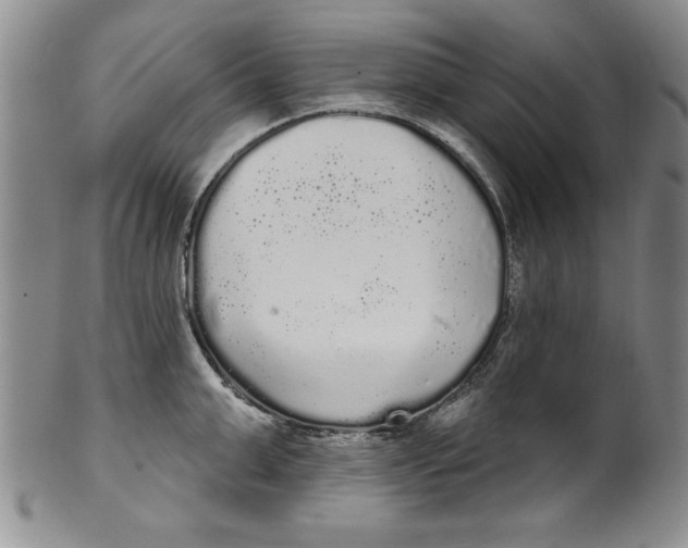 X0000101980999200808081611