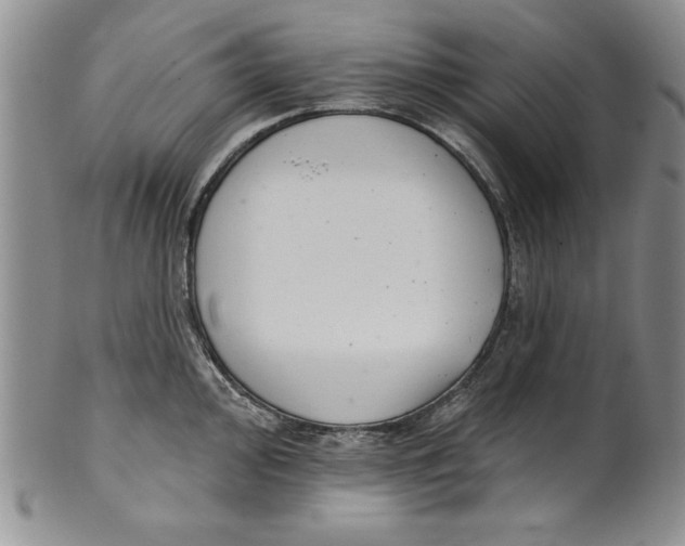 X0000101981000200808081611