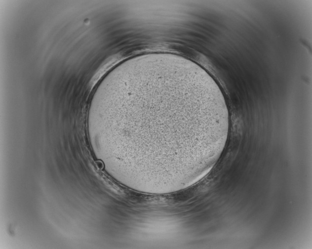 X0000101981002200808081611