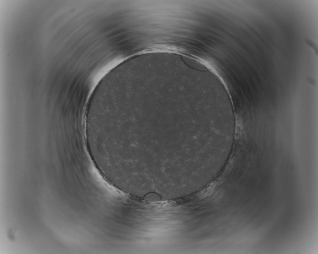 X0000101981003200808081611