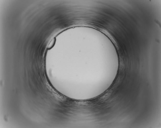 X0000101981004200808081611