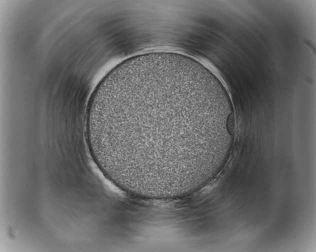 X0000101981005200808081611