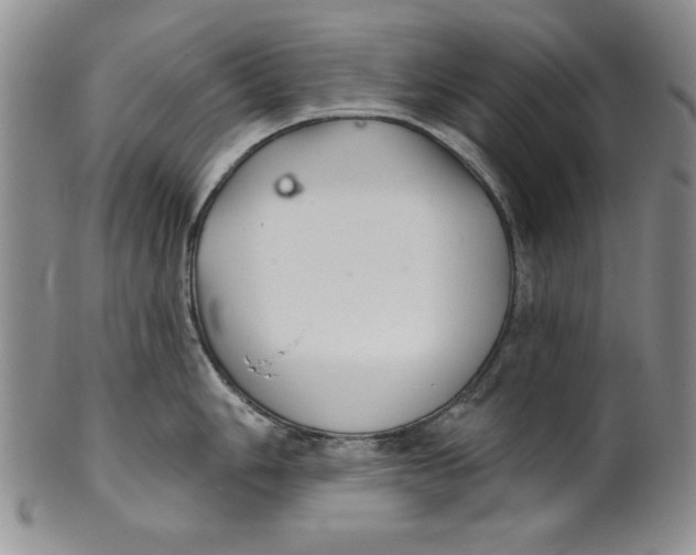 X0000101981006200808081611