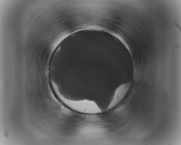 X0000101981007200808081611