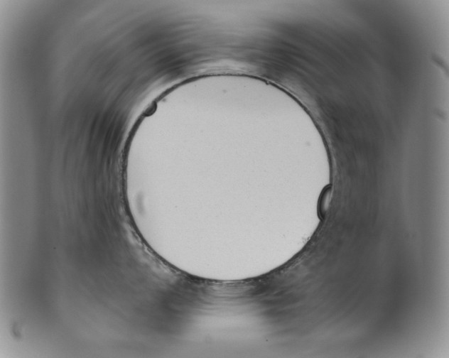 X0000101981008200808081611