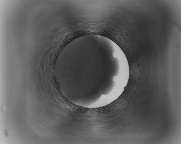 X0000101981009200808081610