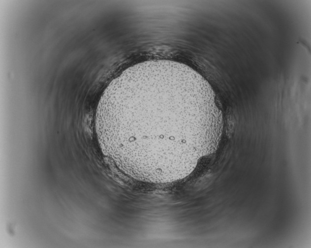 X0000101981010200808081610